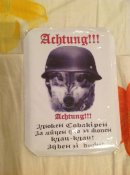 mAwZDskMuv8.jpg