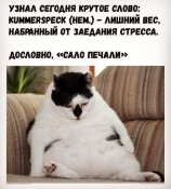 изображение_viber_2020-11-10_22-50-51.jpg