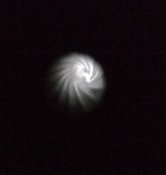 IMG_20201112_154325.jpg