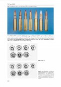 Austrian Military Cartridges Vol.2 Австрийские армейские патроны