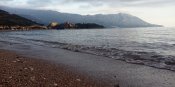 IMG_20201112_152958.jpg