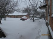 IMG_0915.jpg