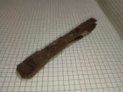 IMG_20201112_204101.jpg