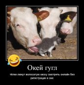 изображение_viber_2020-11-12_22-12-57.jpg