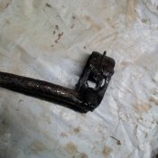 IMG_20201112_173302.jpg