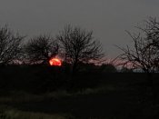 IMG_07.jpeg