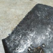 IMG_20201113_143520.jpg