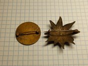 IMG_20201113_170328.jpg