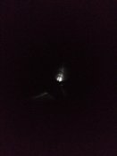 IMG_20201113_181356.jpg