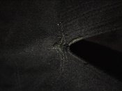 IMG_20201110_152807.jpg