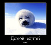 873215_domoj-edite_demotivators_ru.jpg