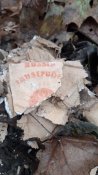 20201114_083524.jpg