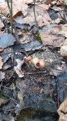 20201114_122259.jpg