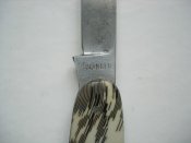 DSCN0500.JPG