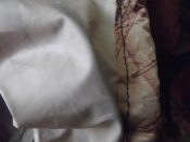 DSCF5129.jpg