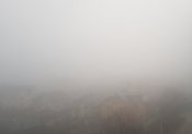 20201116_072953.jpg