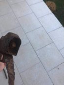 ММГ Гвинтівка Пібоді-Мартін