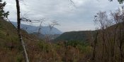 IMG_20201115_113829.jpg
