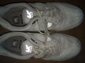 IMG_20201117_130529.jpg