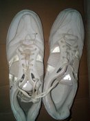 IMG_20201117_131604.jpg