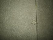 DSC03513.JPG