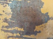 IMG_20201115_120344.jpg