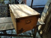 IMG_20201115_120330.jpg