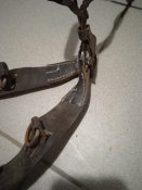 IMG_20201117_112038.jpg
