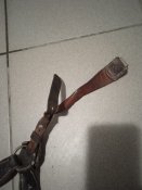 IMG_20201117_112047.jpg
