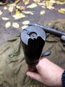 IMG_20201117_151633.jpg