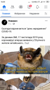 Screenshot_2020-11-17-16-50-17-768_com.facebook.katana.png