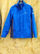 IMG_20201024_115102.jpg