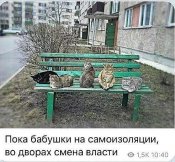 изображение_viber_2020-11-17_17-28-19.jpg