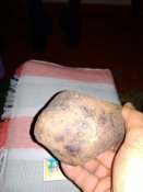 IMG_20201117_174916.jpg