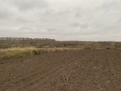 IMG_0002.jpeg