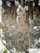 IMG_20201118_160246_0~2.jpg