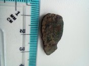IMG_20201118_131609.jpg
