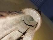 IMG_20201118_154936.jpg