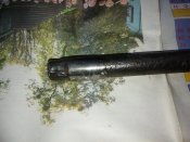 IMG_20201118_153945.jpg