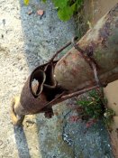 IMG_20201003_164607.jpg