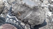 20201116_133349.jpg
