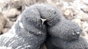 20201116_113345.jpg