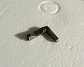 DSCN4407.JPG