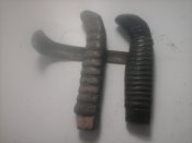 1605805254323-1843309796.jpg
