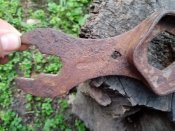 IMG_20201113_065832.jpg