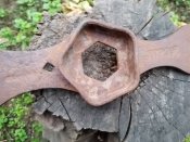 IMG_20201113_065835.jpg