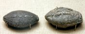 Sling_bullets_BM_GR1842.7-28.550_GR1851.5-7.11.jpg