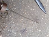 IMG_20201120_150947_619.jpg