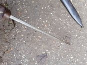 IMG_20201120_150938_031.jpg