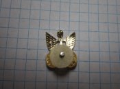 Петличный знак Автобат
